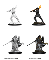 Nolzur's Marvelous Miniatures - Female Human Paladin